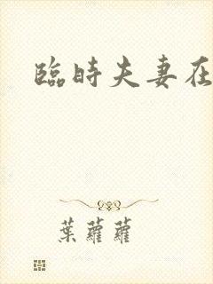 临时夫妻在线