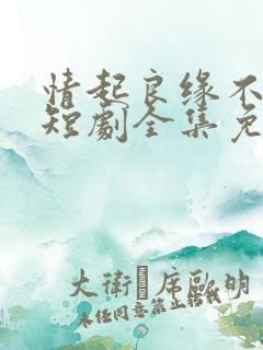 情起良缘不可窃短剧全集免费观看