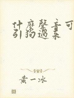 什么声音可以吸引狗过来