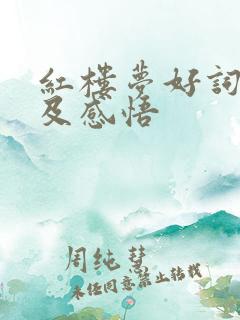 红楼梦好词好句及感悟