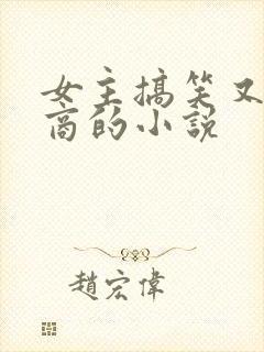 女主搞笑又高智商的小说