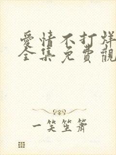 爱情不打烊短剧全集免费观看高清版