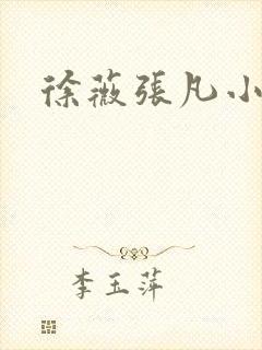 徐薇张凡小说