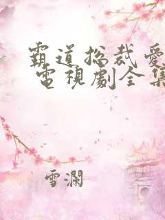 霸道总裁爱上我 电视剧全集免费观看韩剧