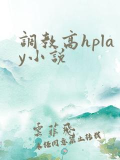 调教高hplay小说