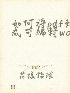 如何将pdf转成可编辑word