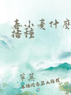 春小麦什么时候播种