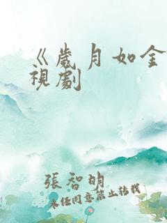 《岁月如金》电视剧