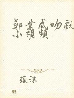 郑业成吻戏原声小视频