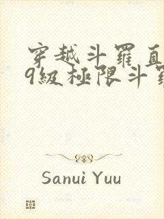 穿越斗罗直接99级极限斗罗的小说