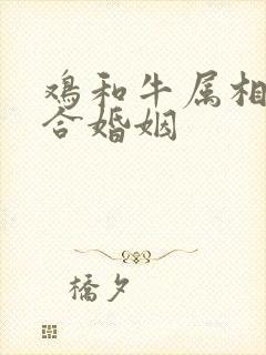 鸡和牛属相合不合婚姻