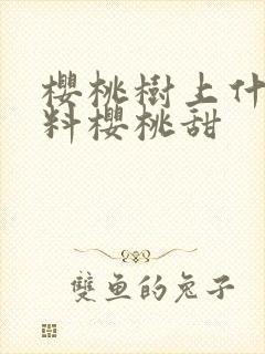 樱桃树上什么肥料樱桃甜