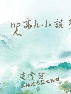 np高h小说多人