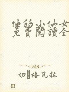 他的小仙女小说免费阅读全文