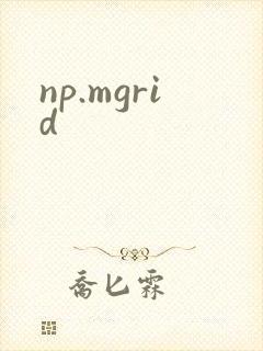 np.mgrid