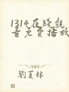 1314在线观看免费播放电视剧大全