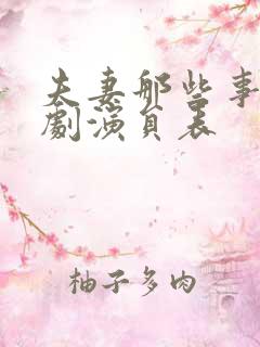 夫妻那些事电视剧演员表