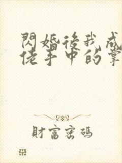 闪婚后我成了大佬手中的掌中之物