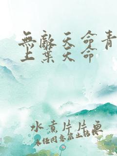 无敌天命青鸾峰上叶天命