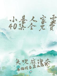 小巷人家电视剧40集全免费