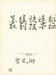 怎样快速离婚争取到孩子抚养权