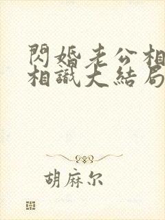 闪婚老公相逢不相识大结局