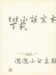 txt小说完本下载