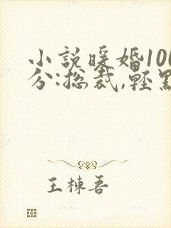 小说暖婚100分:总裁,轻点宠