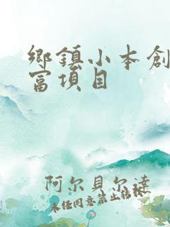 乡镇小本创业致富项目