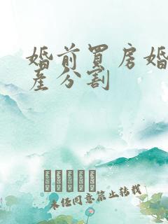 婚前买房婚后财产分割