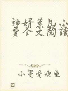 神婿叶凡小说免费全文阅读