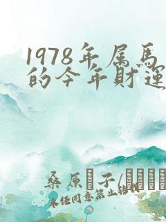 1978年属马的今年财运怎么样
