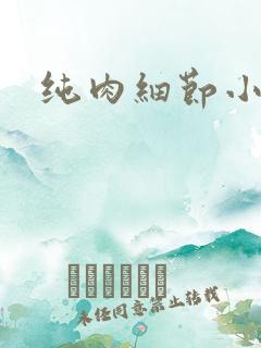 纯肉细节小说