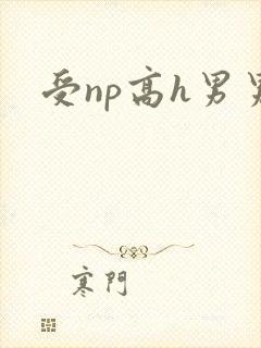 受np高h男男