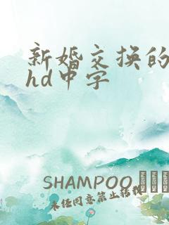 新婚交换的一天hd中字