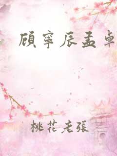 顾宁辰孟卓钰