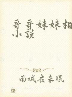 哥哥妹妹相爱的小说