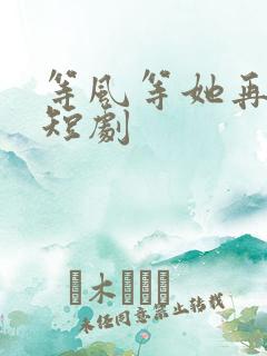 等风等她再回头短剧