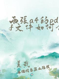 两张a4的pdf文件如何合成一张a3