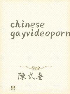chinesegayvideoporn