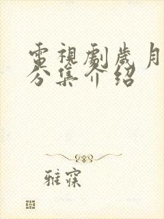电视剧岁月剧情分集介绍