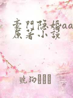 豪门隐婚aa制原著小说