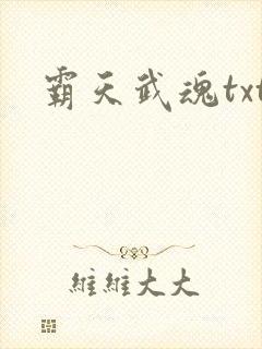 霸天武魂txt