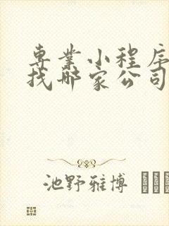 专业小程序开发找哪家公司