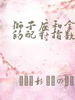 狮子座和金牛座的配对指数