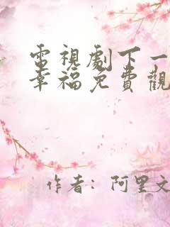 电视剧下一站是幸福免费观看全集