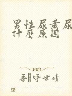 男性尿黄尿频是什么原因