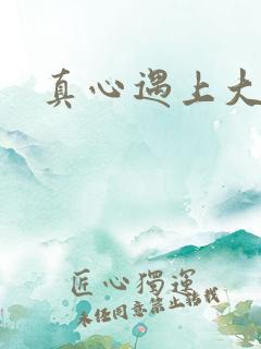 真心遇上大冒险