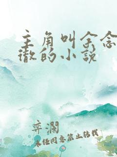 主角叫余念安秦彻的小说