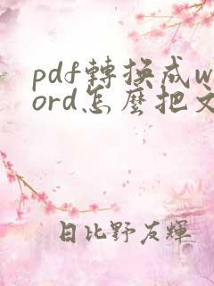 pdf转换成word怎么把文字的框去掉